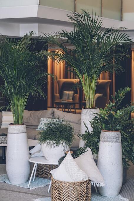 Image of Iberostar Selection Playa de Muro Village