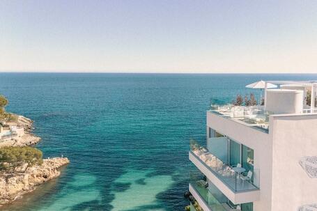 Image of The Donna Portals