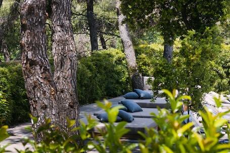 Image of Life Gallery