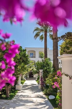 Image of Pazziella Garden & Suites