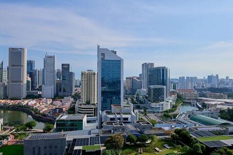 Image of Wyndham Singapore Hotel