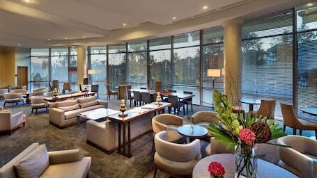 Image of Conrad Istanbul Bosphorus