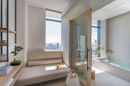 Image of Four Seasons Hotel Osaka
