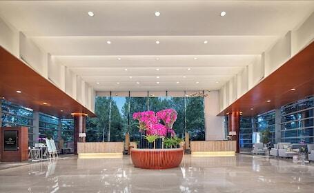 Image of Grand Skylight International Hotel Guanlan