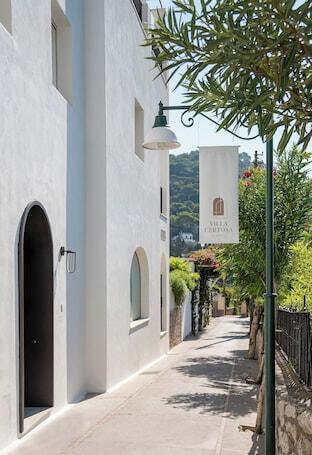 Villa Certosa Capri Boutique Hotel hotel photo in Capri