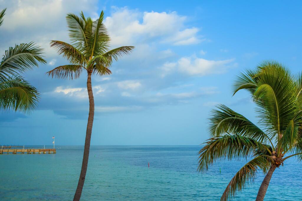 Image of Southernmost Beach Resort and Guesthouses