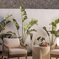 Anemelia Hotel Mykonos – Luxury hotel in Mykonos, Greece