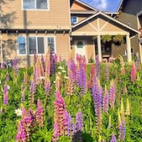 Central Tacoma Homestay -private room- – Luxury hotel in Tacoma, United States