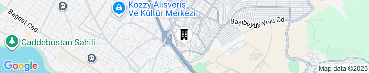 Map for Dedeman Bostancı